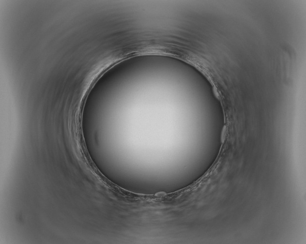 X0000115580289200911101154