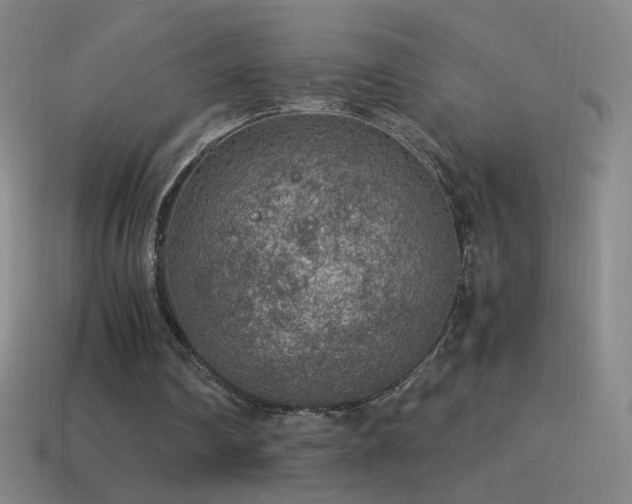 X0000115580290200911101154