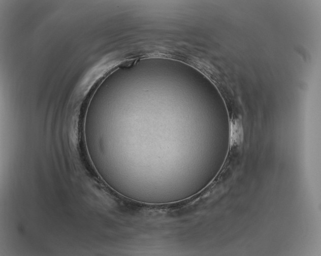 X0000115580291200911101154