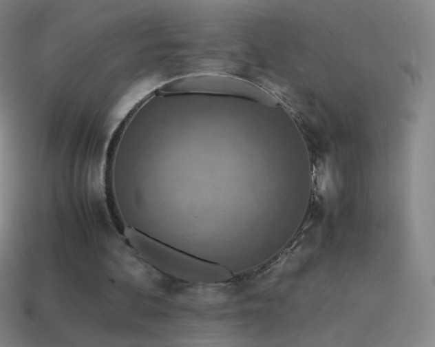 X0000115580292200911101154