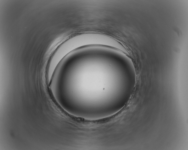 X0000115580293200911101154