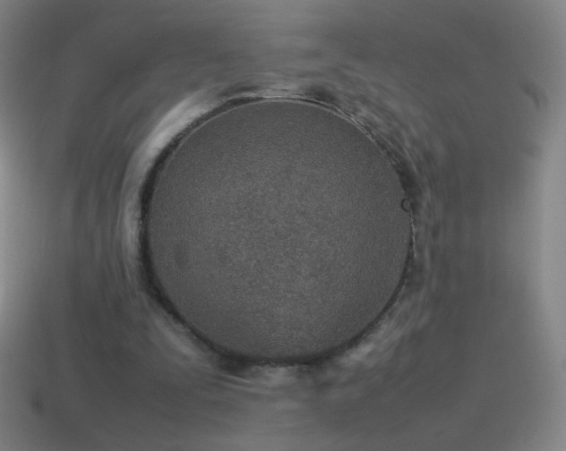 X0000115580295200911101154