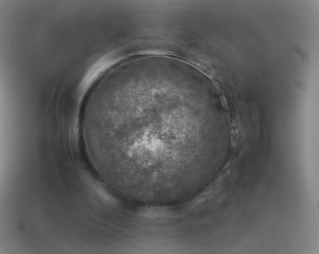 X0000115580296200911101154