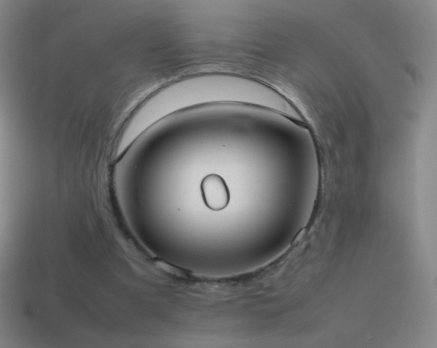 X0000115580297200911101154