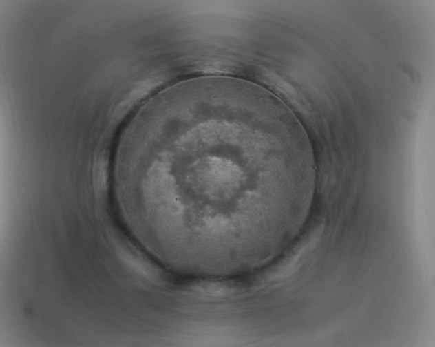 X0000115580299200911101154