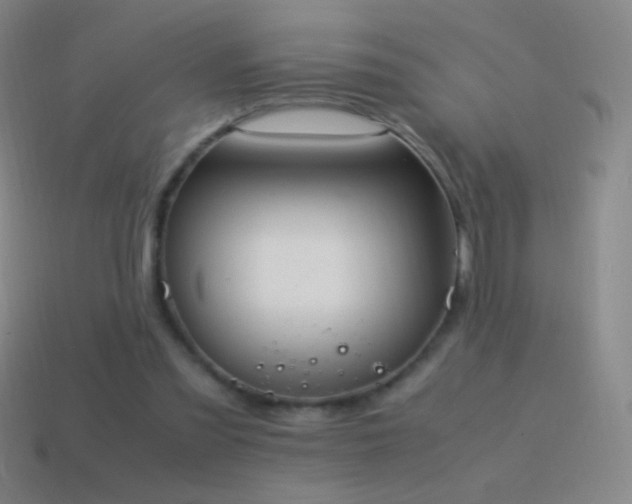 X0000115580301200911101154