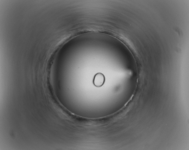 X0000115580305200911101154