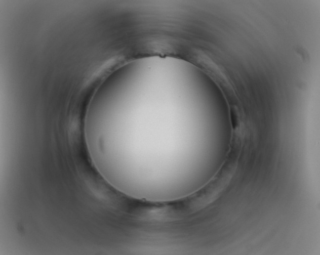 X0000115580306200911101154