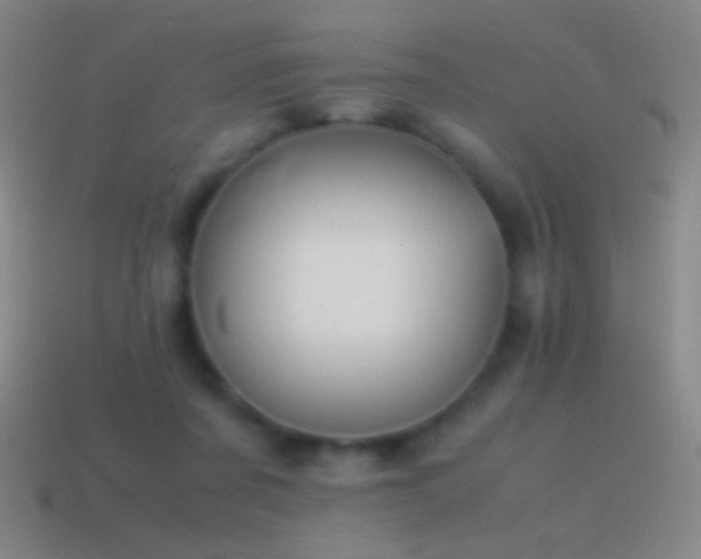 X0000115580311200911101154