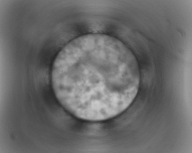 X0000115580313200911101154