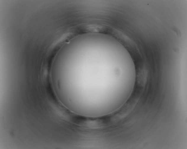 X0000115580314200911101154