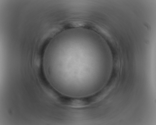 X0000115580315200911101154