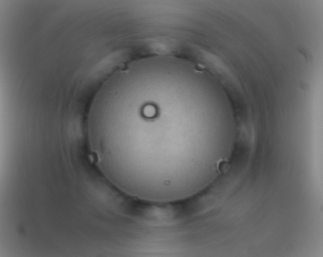 X0000115580317200911101154