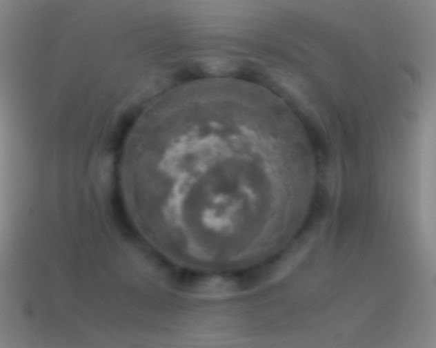 X0000115580319200911101154