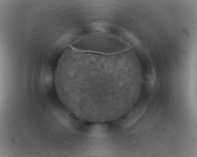 X0000115580320200911101154