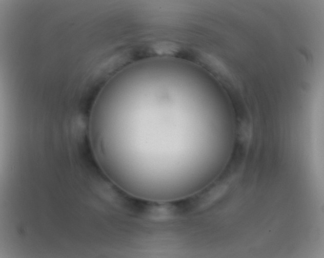 X0000115580321200911101154