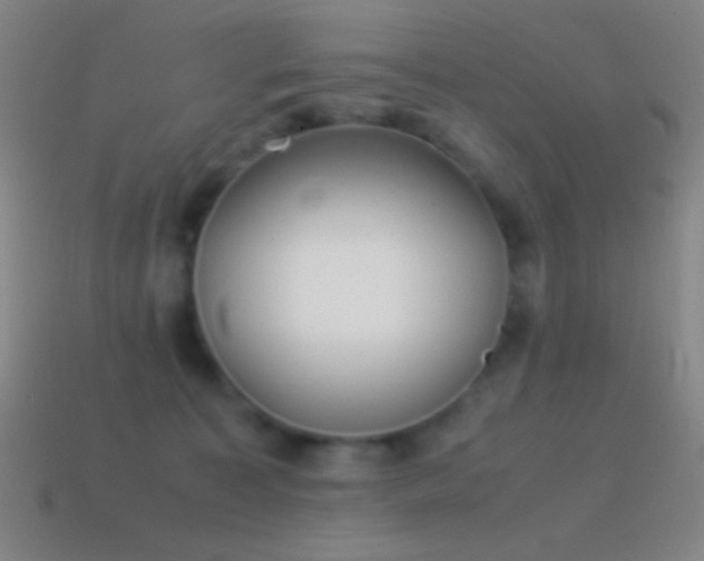 X0000115580323200911101154