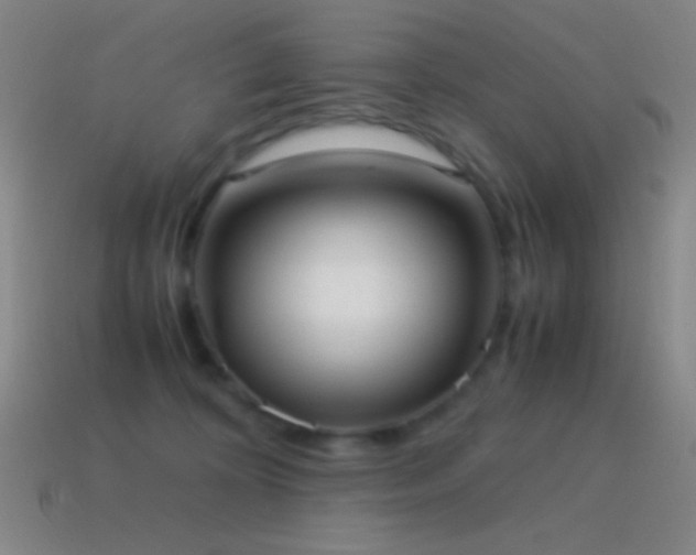 X0000115580324200911101154