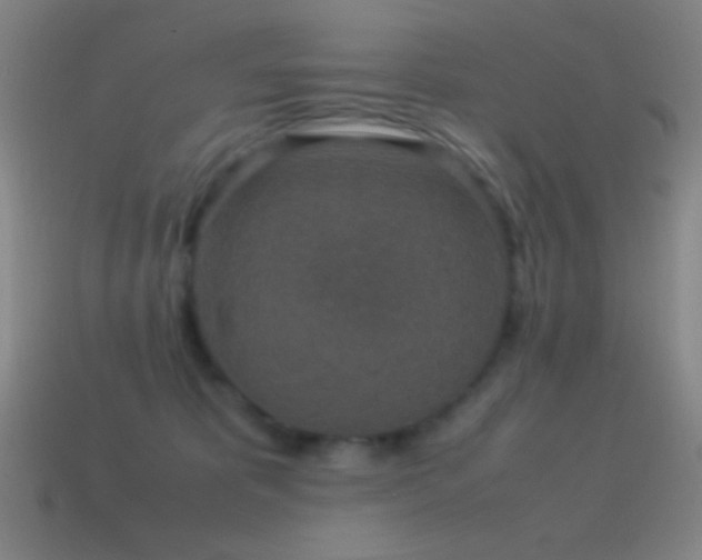 X0000115580325200911101154