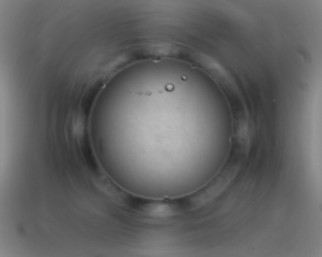 X0000115580326200911101154