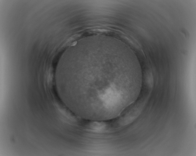 X0000115580328200911101154