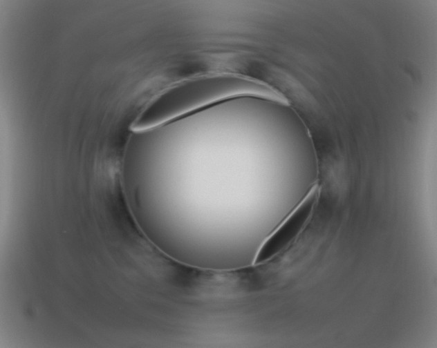 X0000115580329200911101154