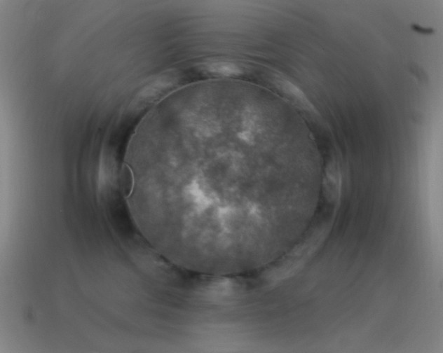 X0000115580330200911101154