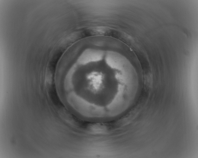 X0000115580331200911101154