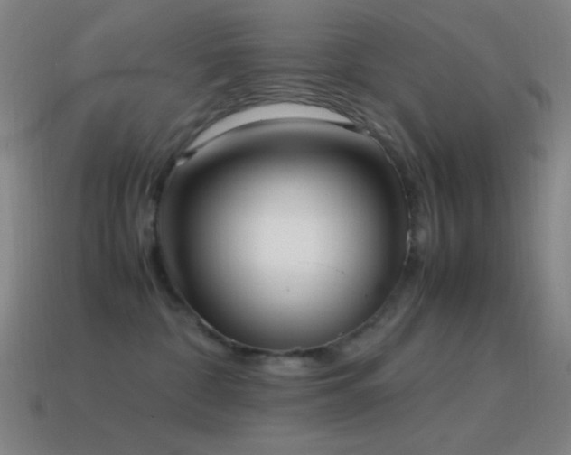 X0000115580332200911101154