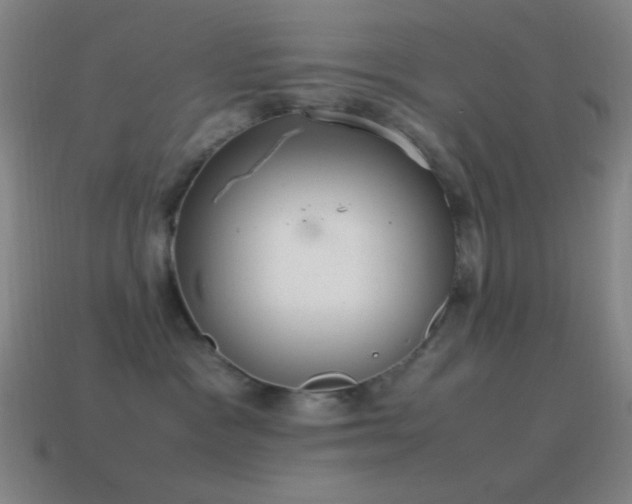 X0000115580333200911101153