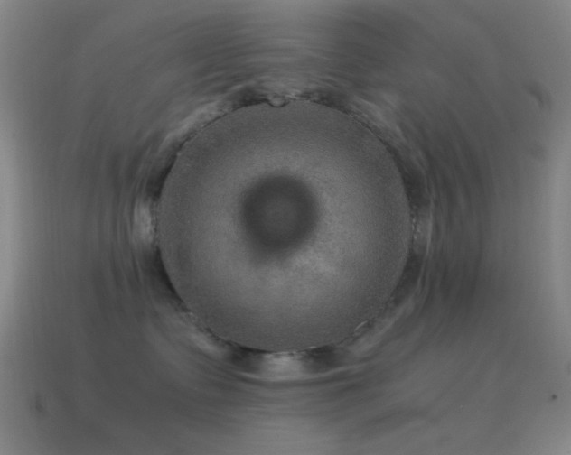 X0000115580335200911101153