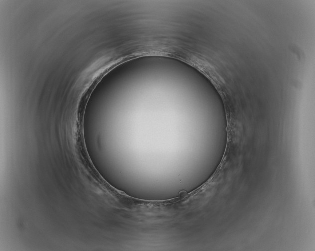 X0000115580338200911101153