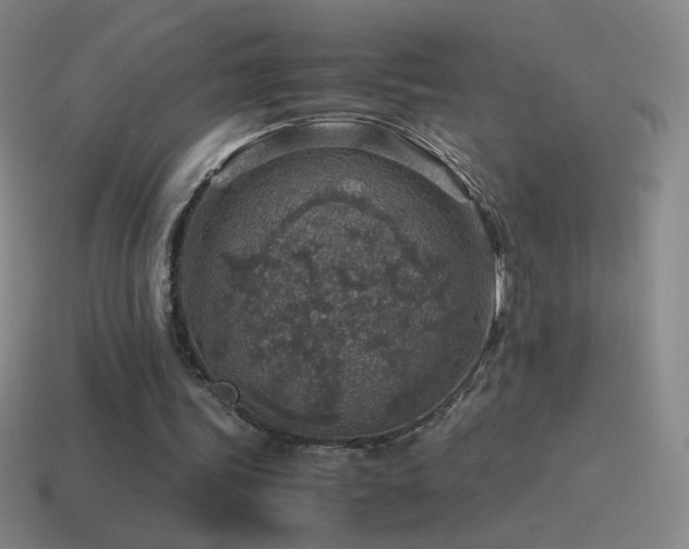 X0000115580339200911101153