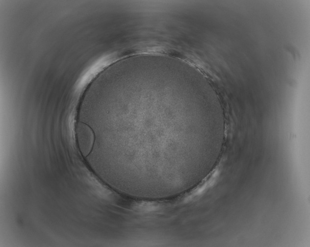 X0000115580341200911101153