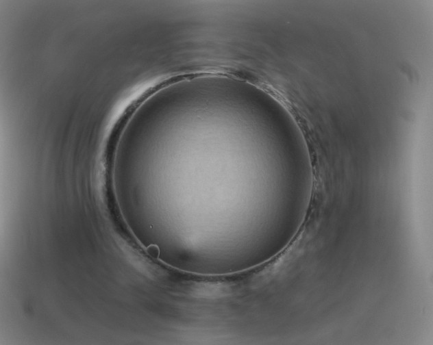 X0000115580342200911101153