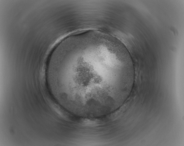 X0000115580346200911101153