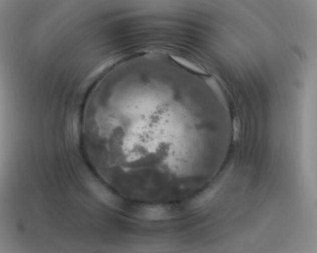 X0000115580349200911101153