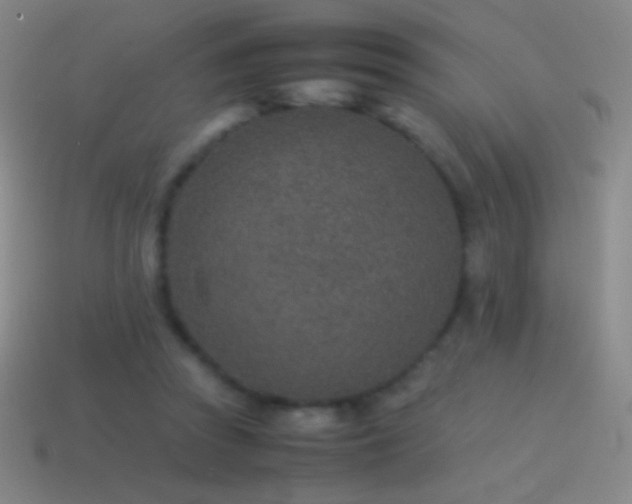 X0000115580353200911101153