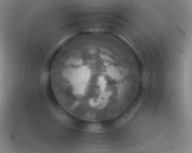 X0000115580355200911101153