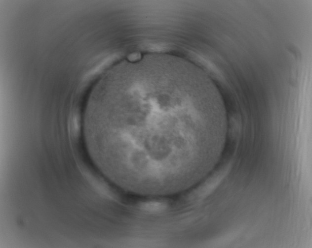 X0000115580358200911101153