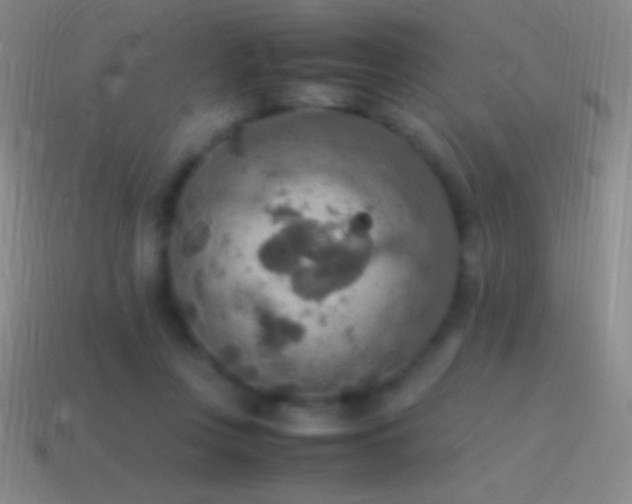 X0000115580359200911101153