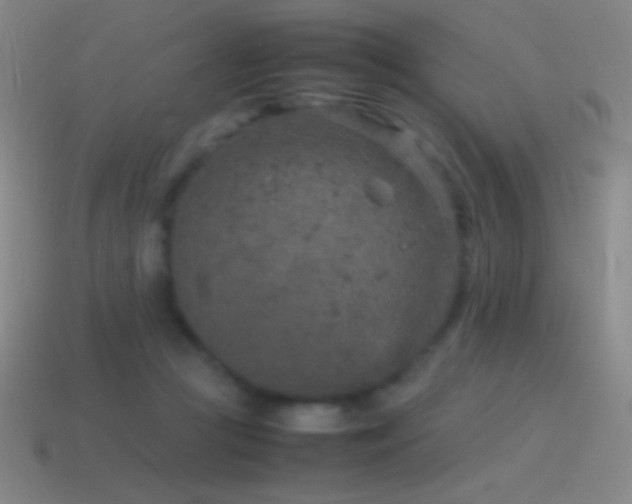 X0000115580361200911101153