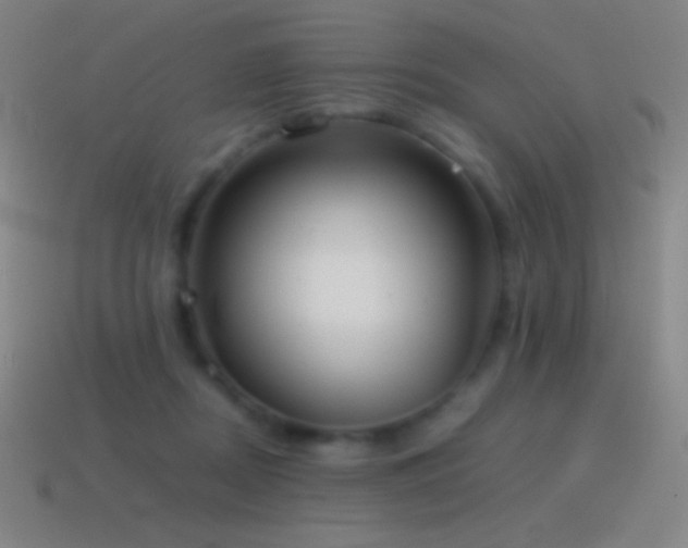 X0000115580362200911101153