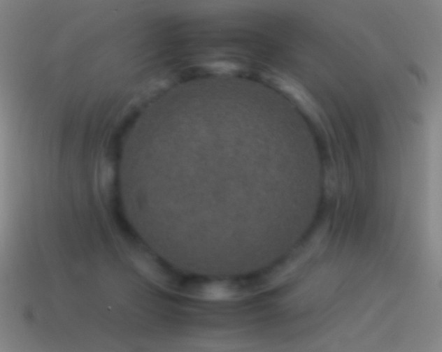 X0000115580365200911101153