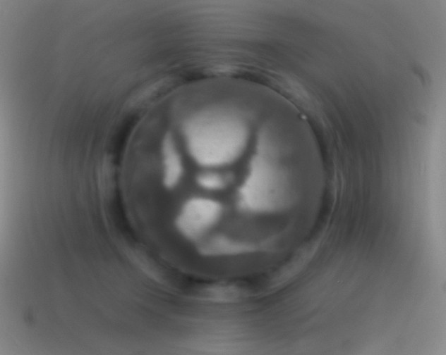 X0000115580366200911101153