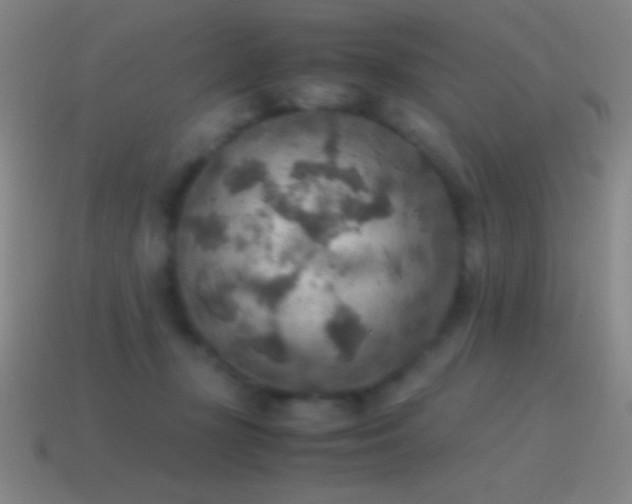 X0000115580367200911101153