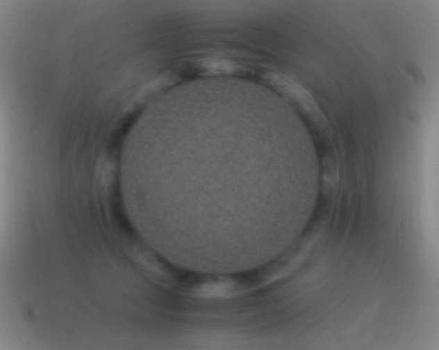 X0000115580369200911101153