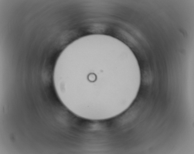 X0000115580370200911101153