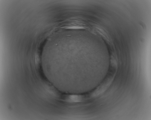 X0000115580371200911101153