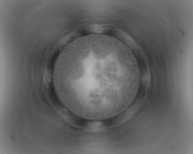 X0000115580374200911101153